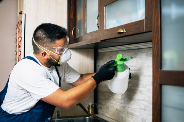 Best Pest Control Near Me in Lake Belvedere Estates, FL