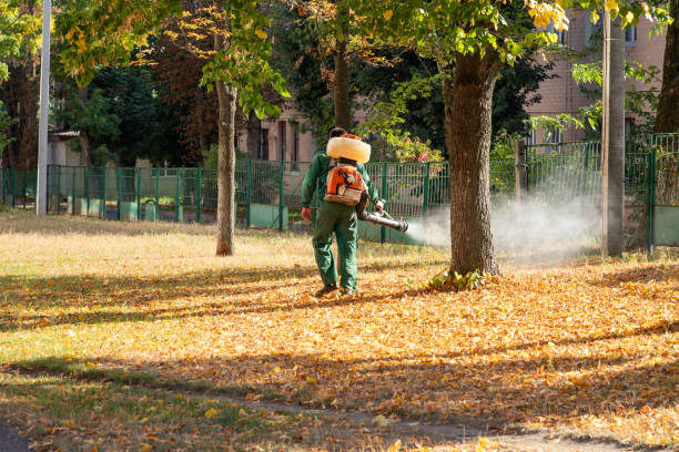Pest Prevention Services in Lake Belvedere Estates, FL