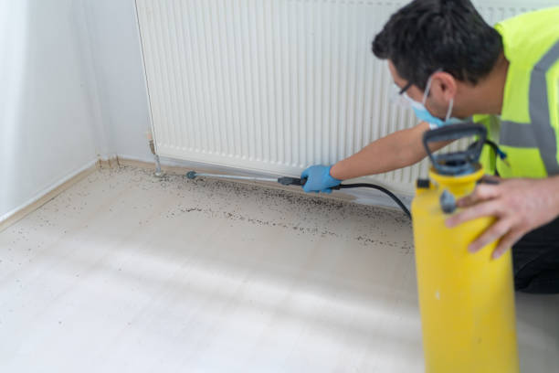 Pest Control Cost in Lake Belvedere Estates, FL